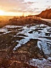 Ling Hao Qin Yuxin R