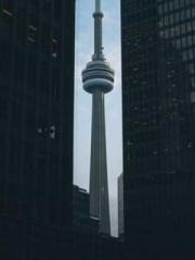 Lu Wanwan Li Jingche