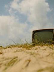 lt;Gingerly, Shen Qi