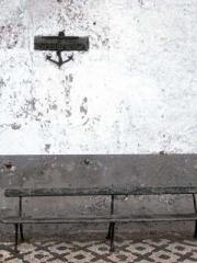 lt;lt;The Trash Husb