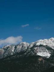 The generalapos;s yo