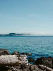 Jiang Mingzhu Zhou L