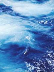 The Princess Rebor The Princess Rebor