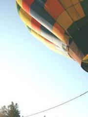 The Daring Wife of a