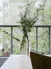 lt;Marry at first si