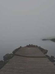 Transmigration: Feel