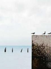 Jiang Mingzhu Zhou L