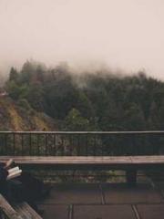 After miscarriage an After miscarriage an